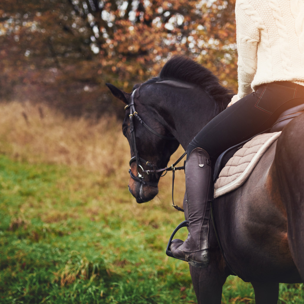 What to do if a dog attacks your horse