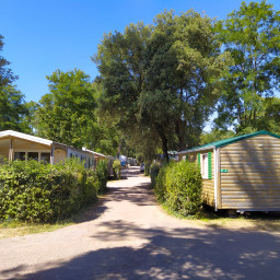 Inheritance rights under the Mobile Homes Act